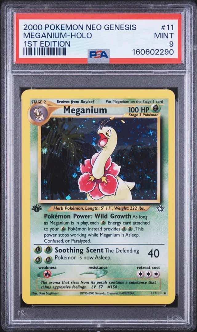 Meganium