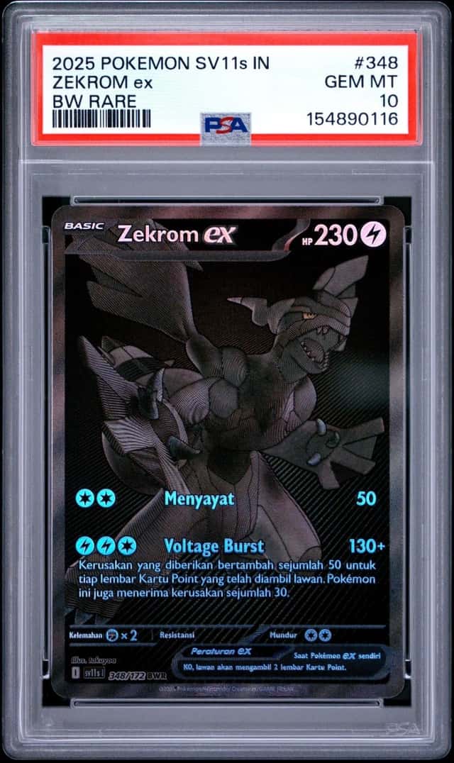 ZEKROM ex
