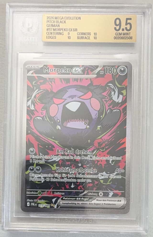 Morpeko ex