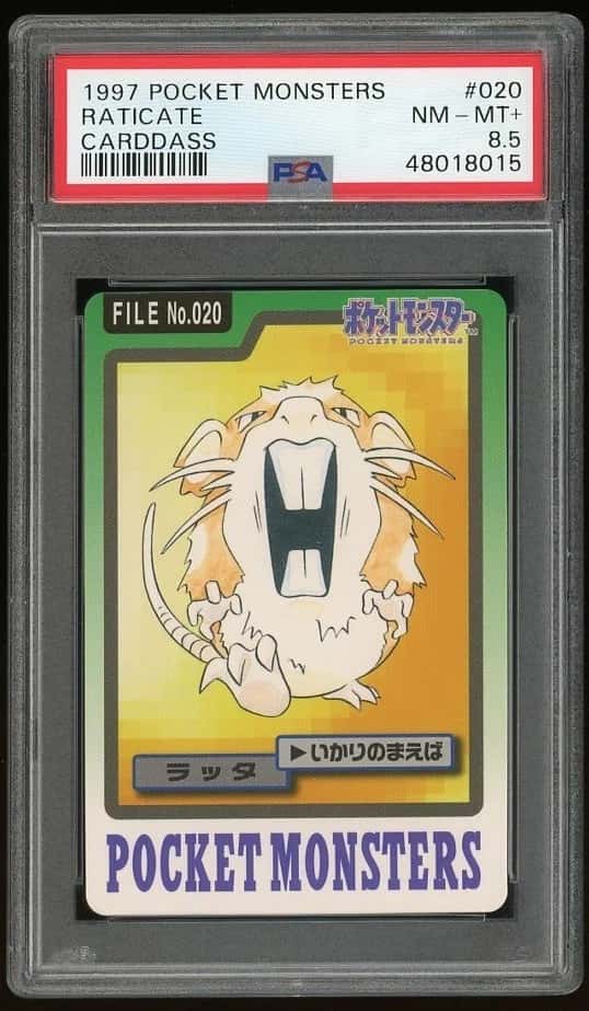 Raticate