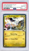 N'S Reshiram