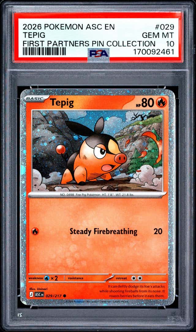 Tepig