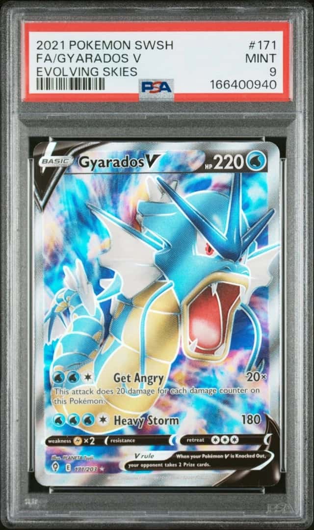 Gyarados V