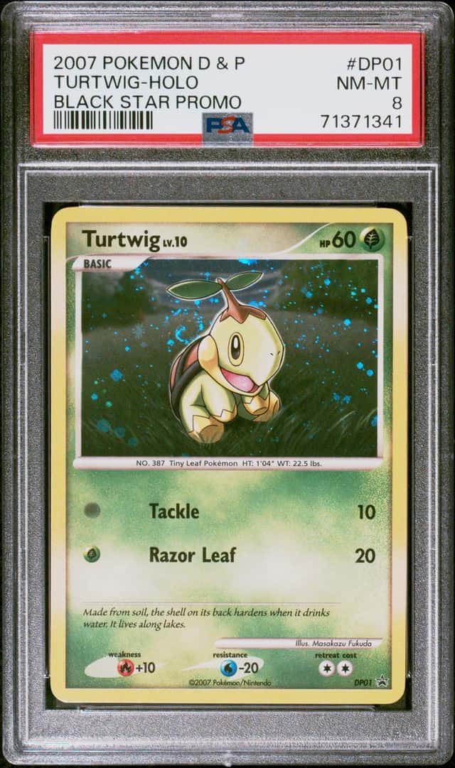 Turtwig