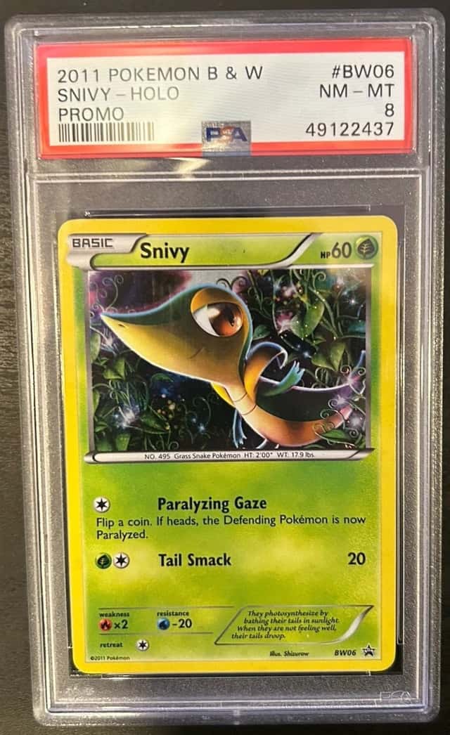 Snivy