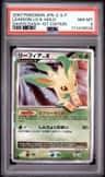 Leafeon Lv X