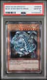 Blue-Eyes White Drgn