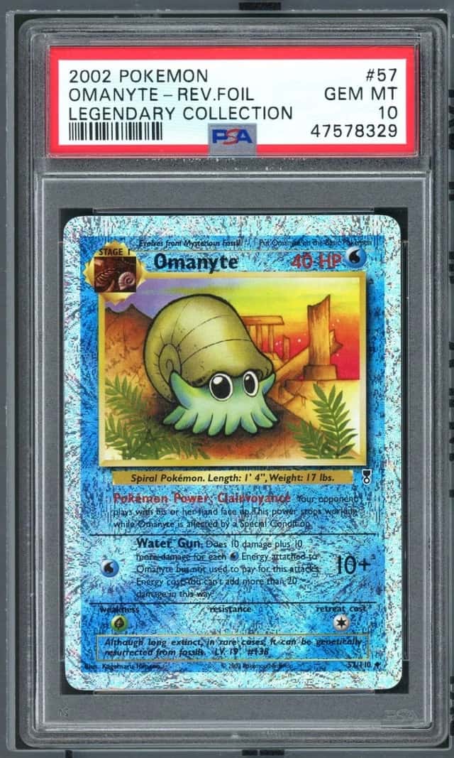 Omanyte