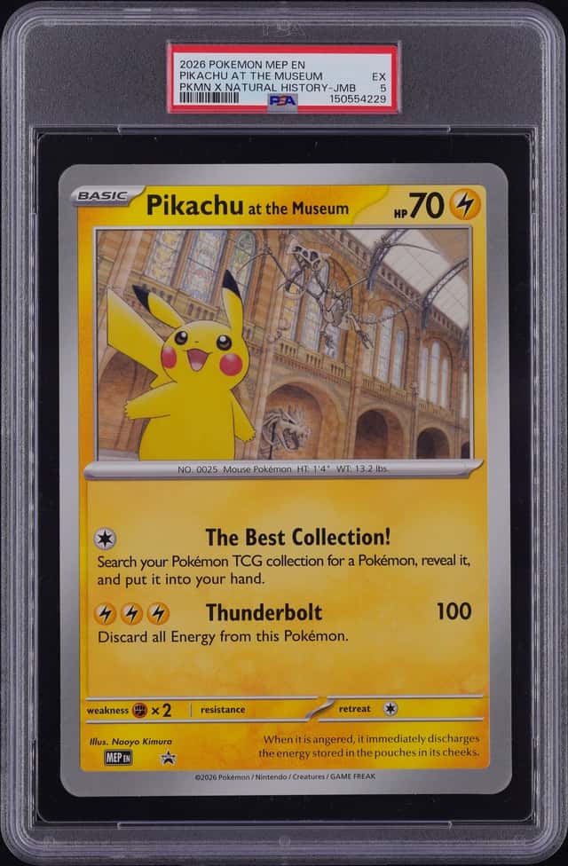 Pikachu At The Museum