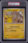 Pikachu At The Museum