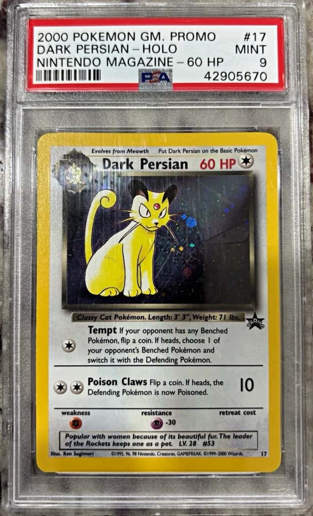 Dark Persian