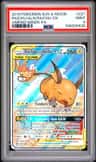 Raichu & Alolan Raichu Gx