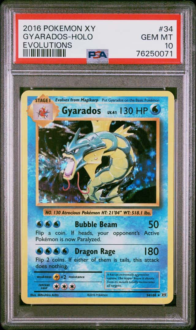 Pokemon XY Evolutions 2016 Gyarados Holo Rare Card #34/108 PSA 10 76250071 CERT