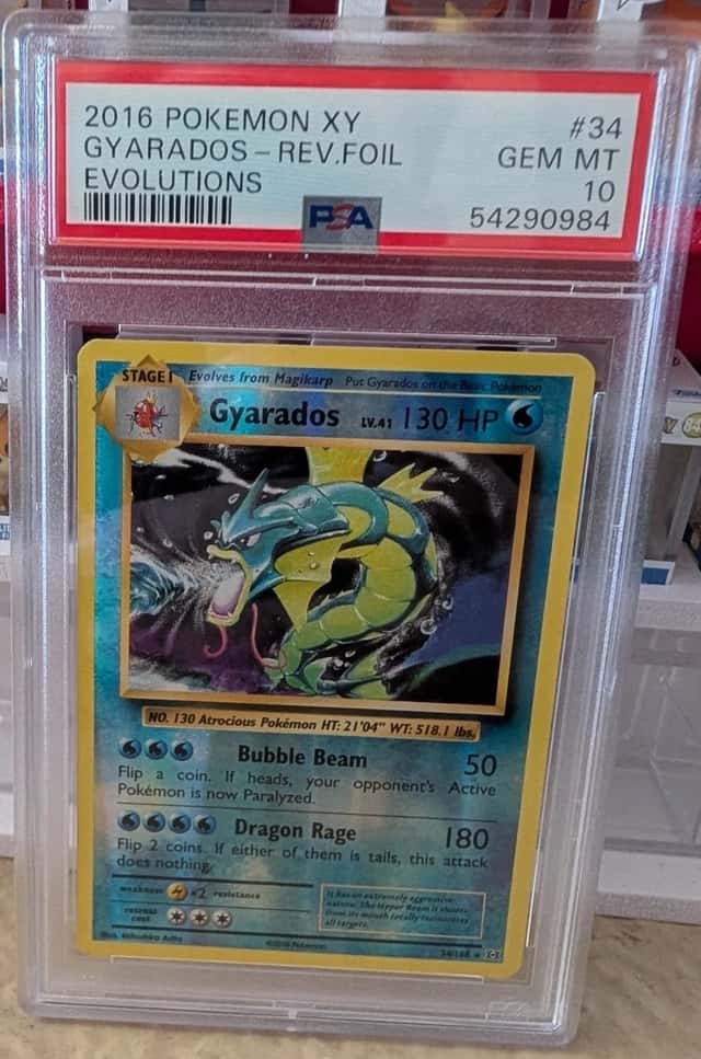 Gyarados