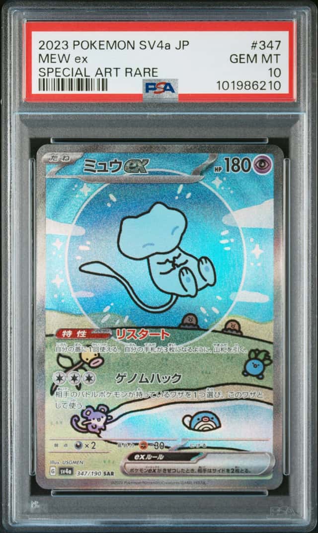 MEW ex