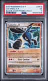 Lucario Lv X