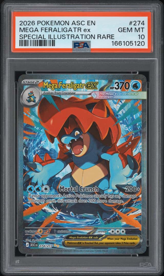 MEGA FERALIGATR ex