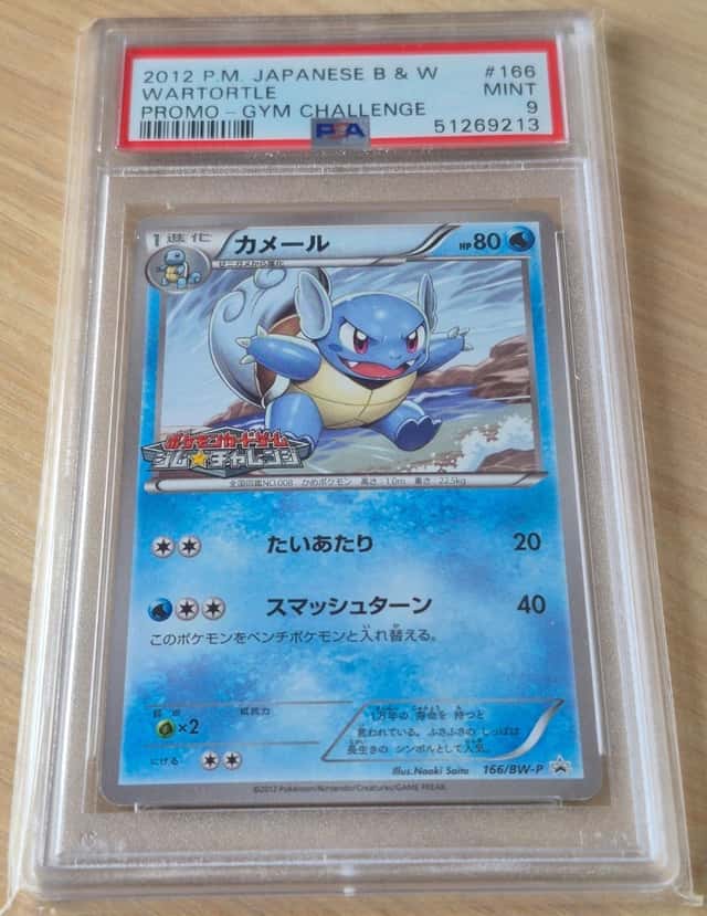 Wartortle