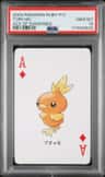 Torchic