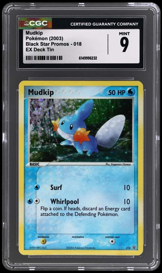 Mudkip