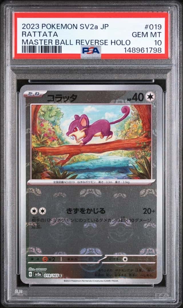 Rattata