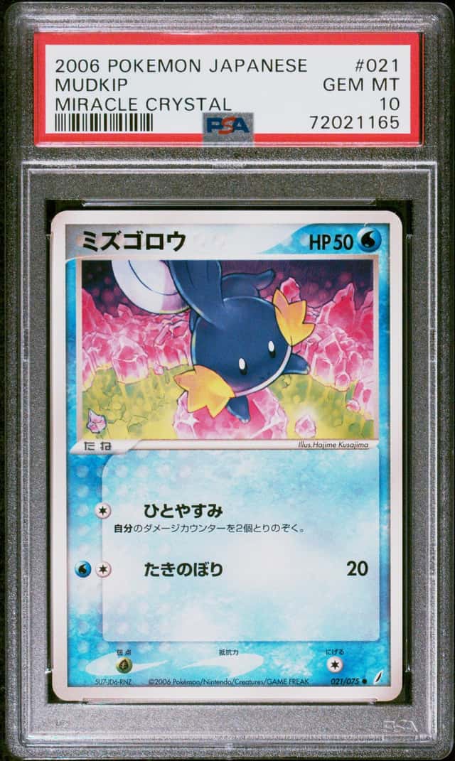 Mudkip
