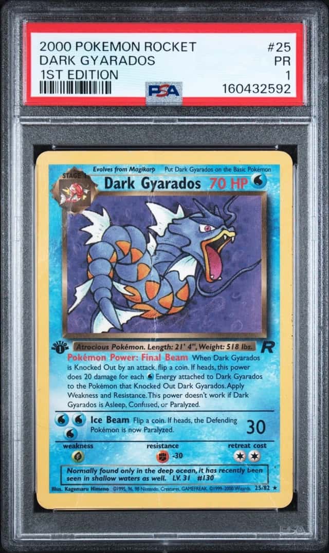 Dark Gyarados