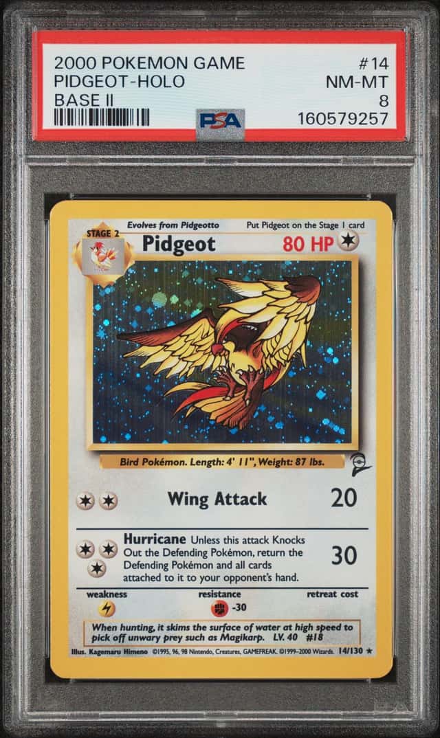 Pidgeot