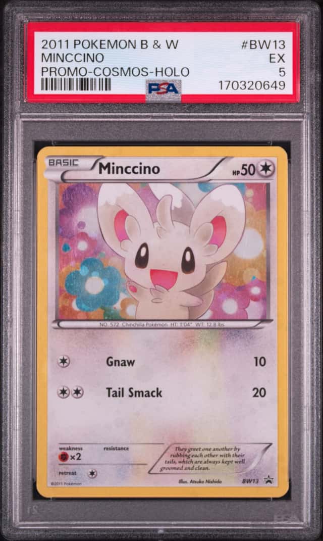 Minccino