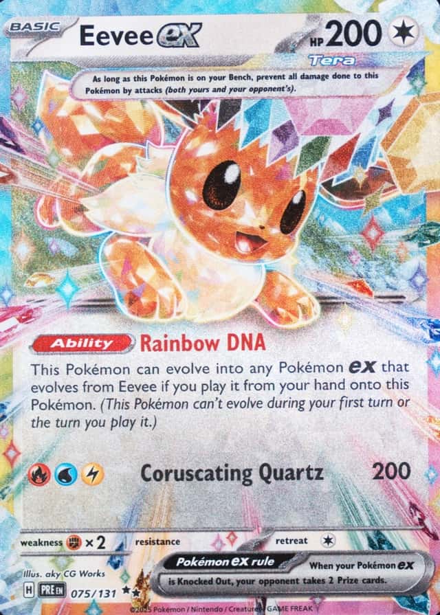 Holo