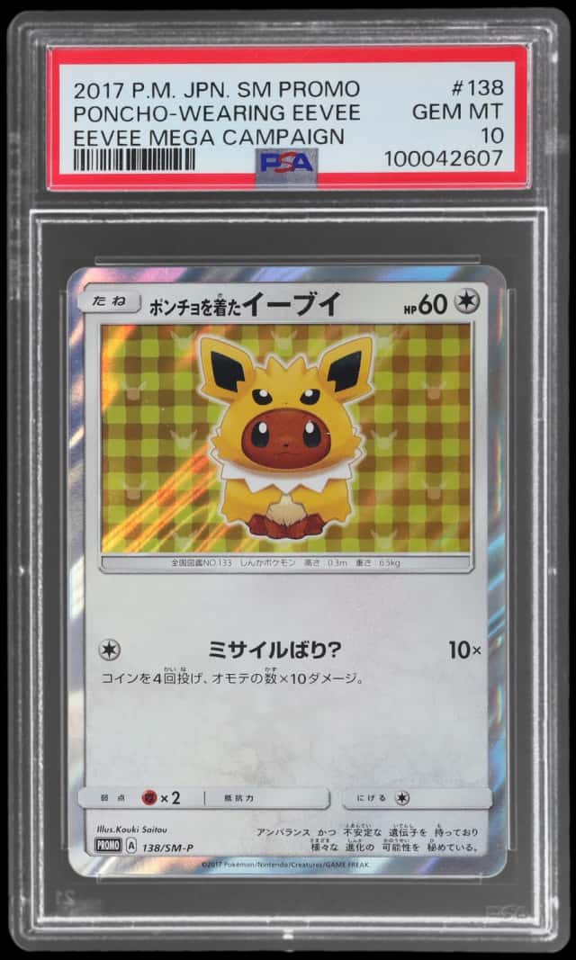 Poncho-wearing Eevee