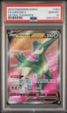 Virizion V