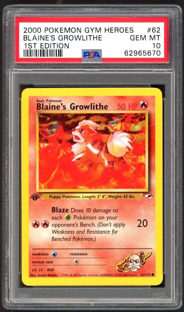 Blaine's Growlithe