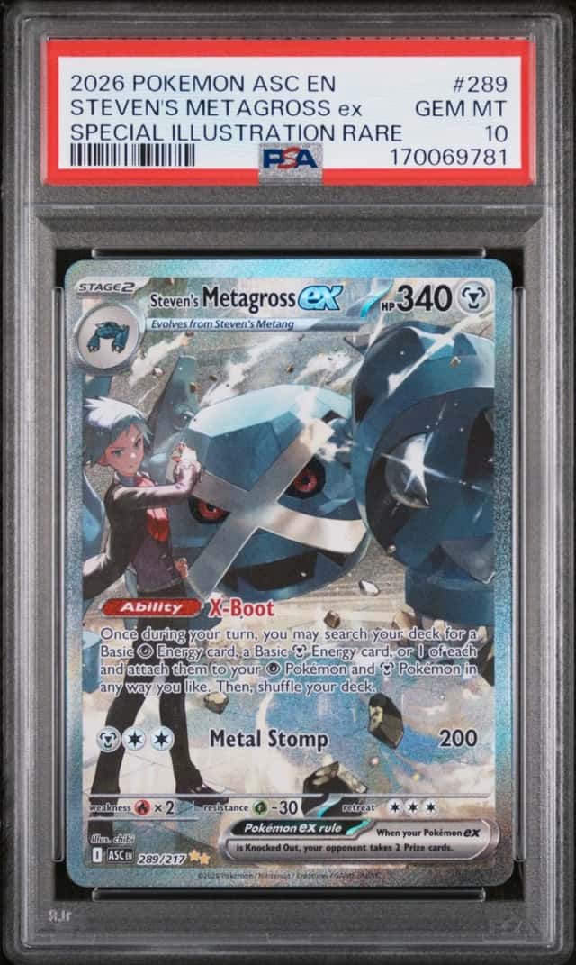 STEVEN'S METAGROSS ex