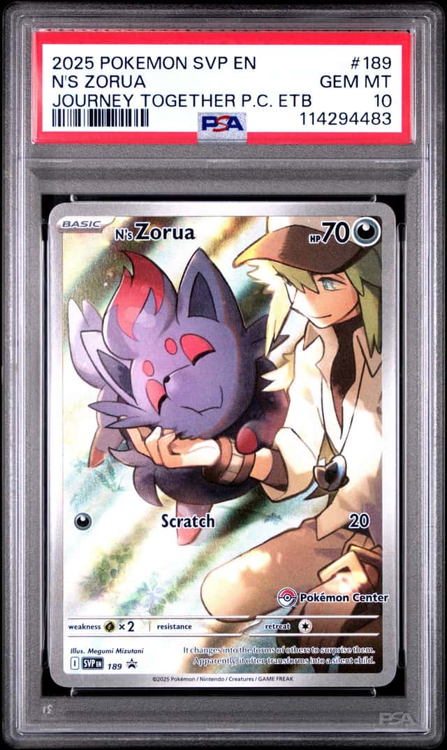N's Zorua