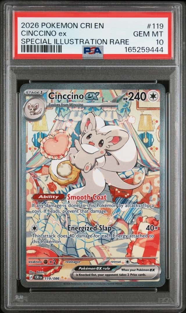 CINCCINO ex