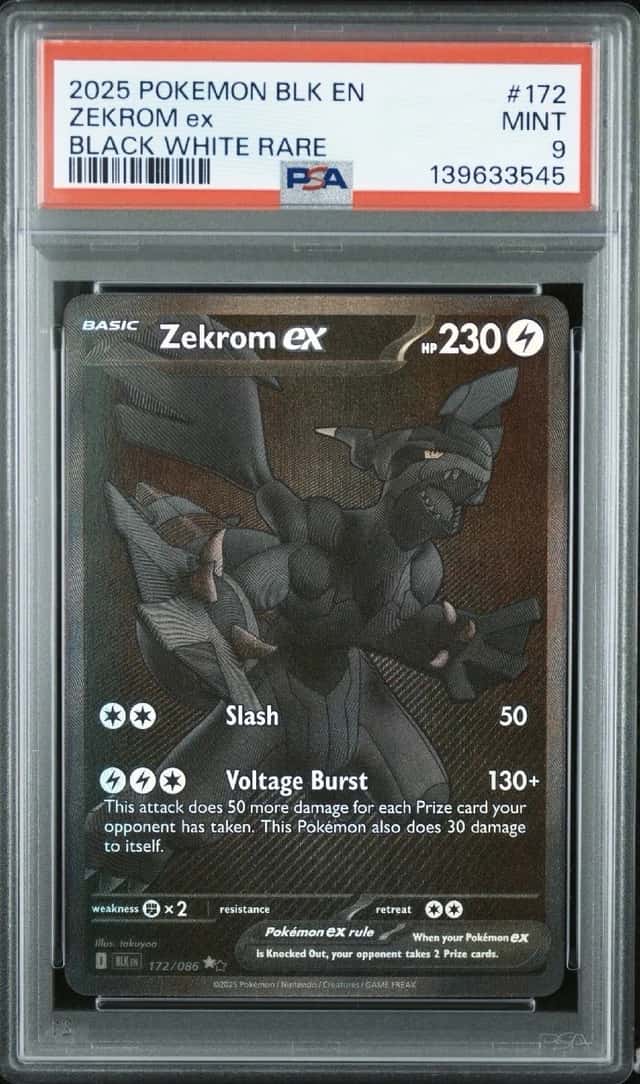 ZEKROM ex