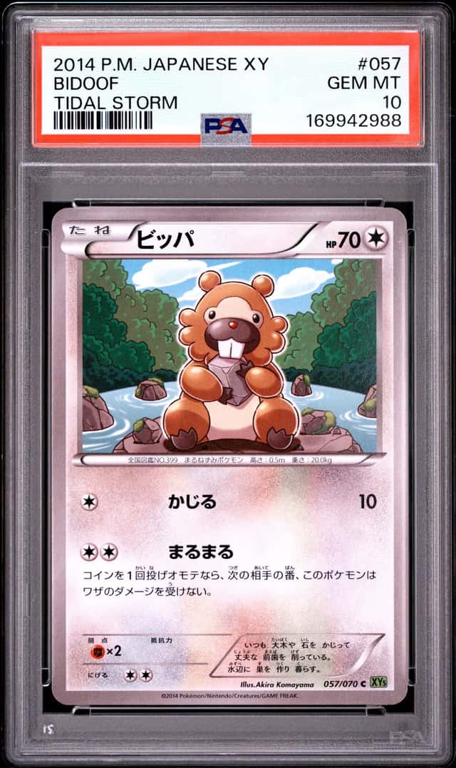Bidoof