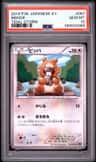 Bidoof