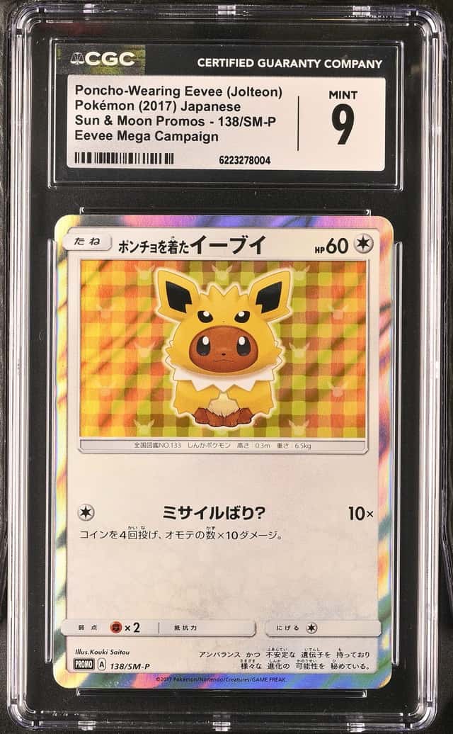 Poncho-wearing Eevee