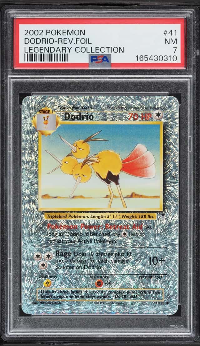 Dodrio
