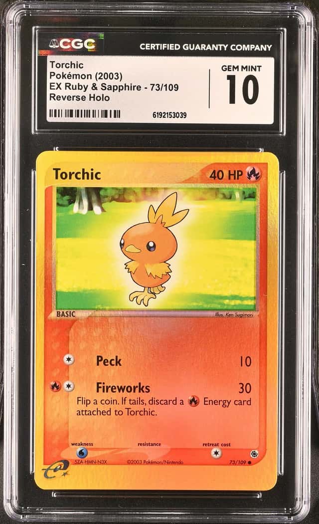 Torchic