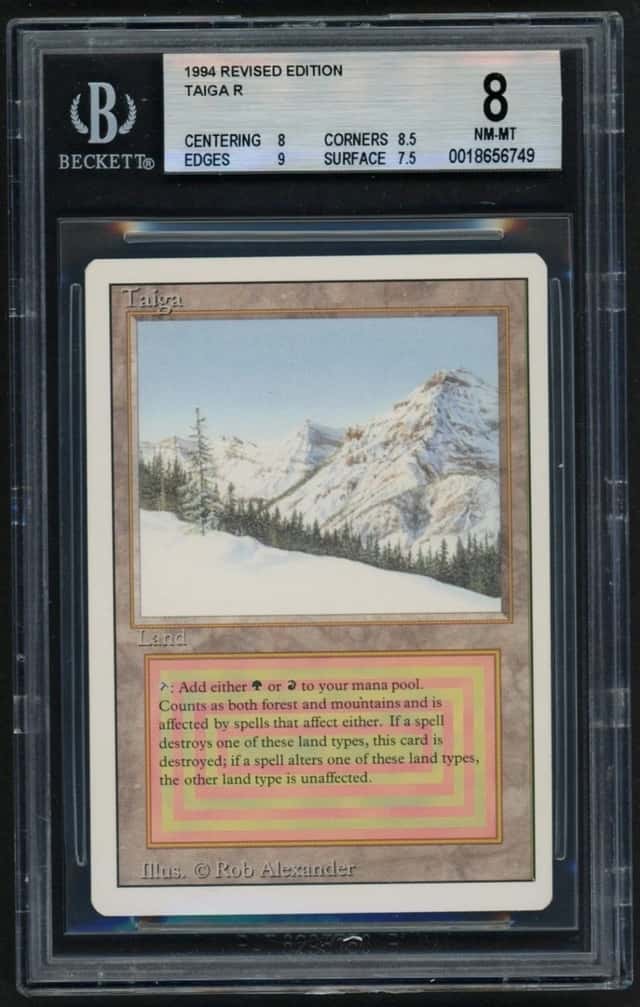 Taiga