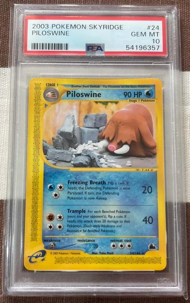 Piloswine