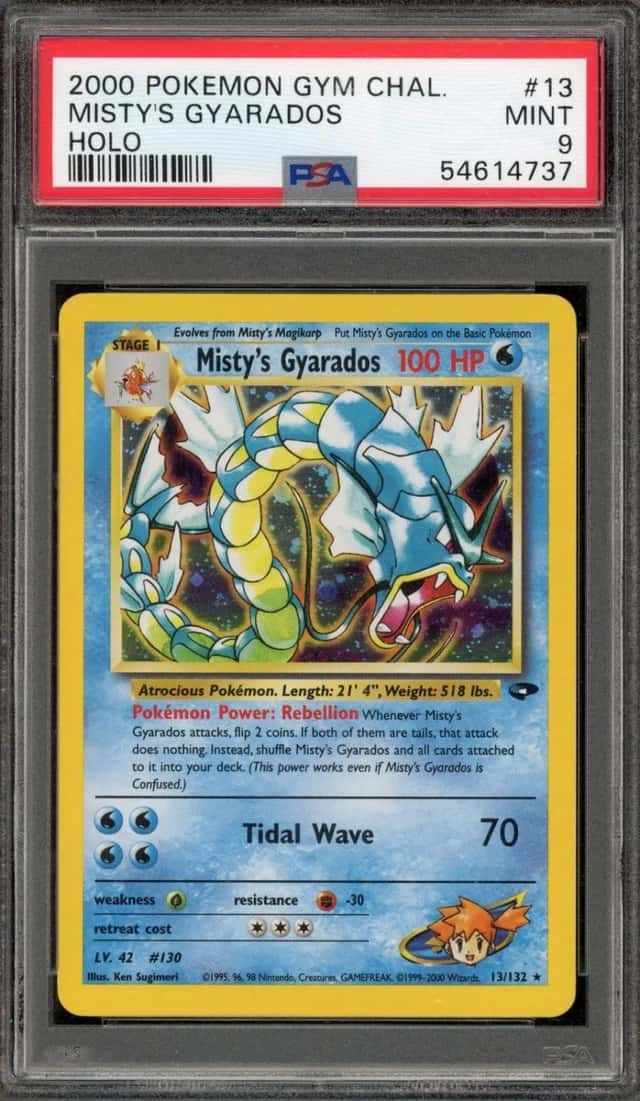 Misty's Gyarados