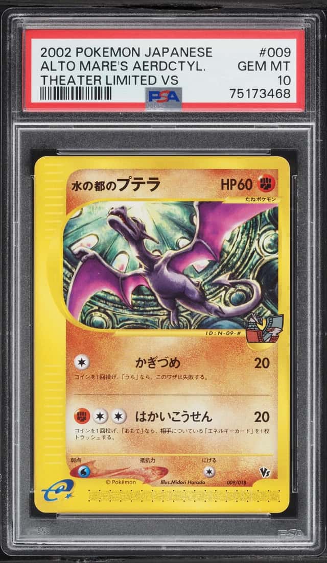 Alto Mare's Aerdctyl