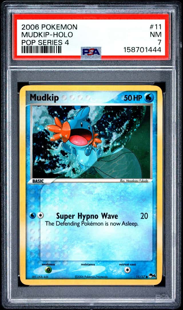 Mudkip
