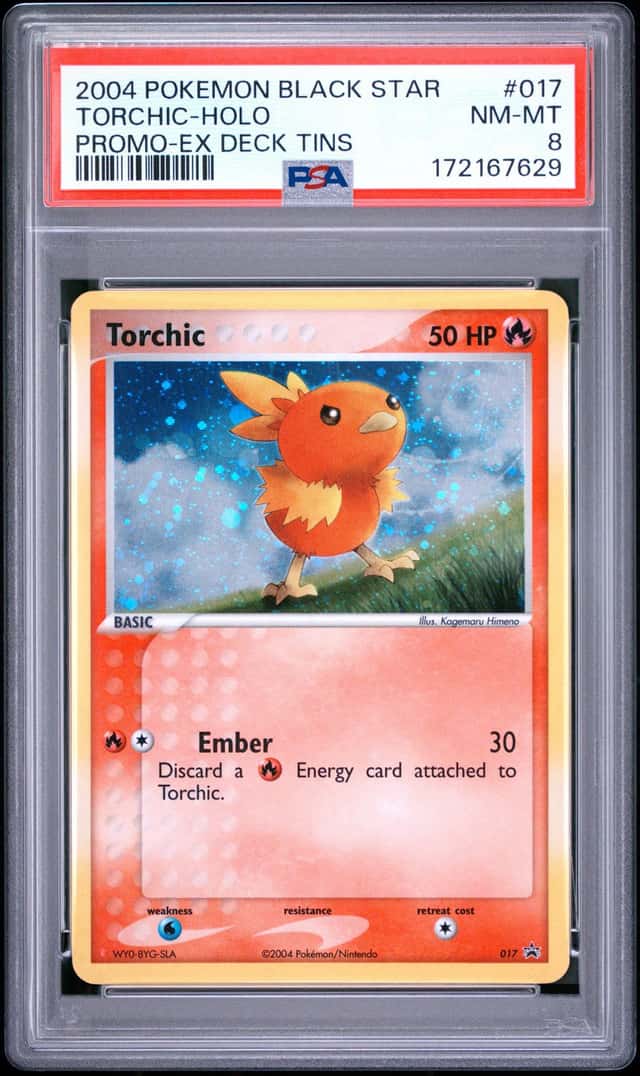 Torchic