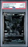Zekrom Ex