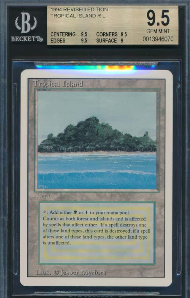 Tropical Island